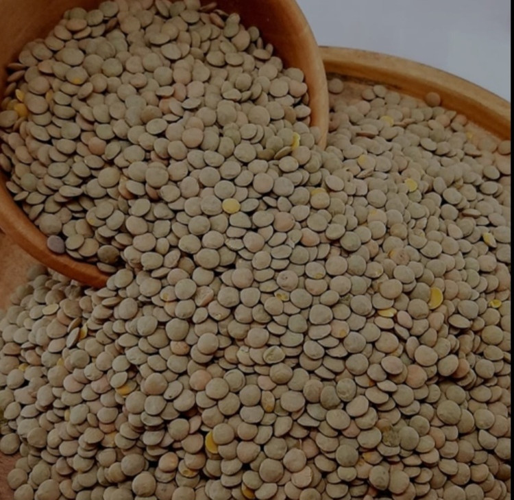 عدس درشت هورا 900 گرمی
