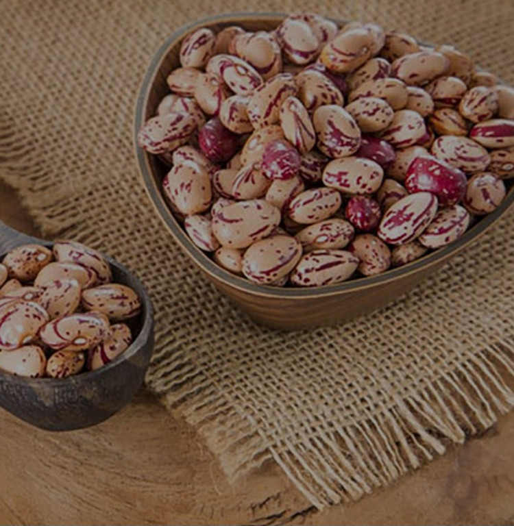 لوبیا چیتی هورا 900 گرمی